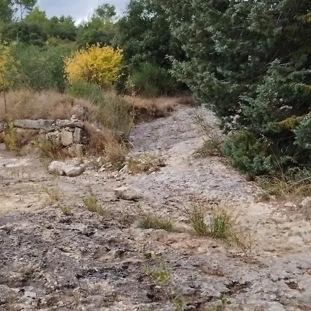 Villa Villa Felines *